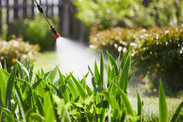 24/7 Emergency Mosquito Control experts in Aurora, IN